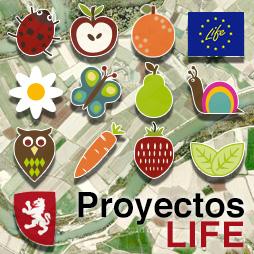 Peri-urban Agriculture and Gardens in Zaragoza