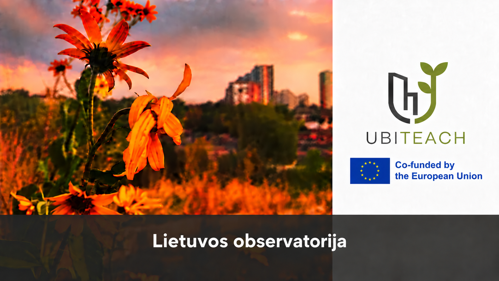 Λουλούδια στο Ηλιοβασίλεμα και Επωνυμία