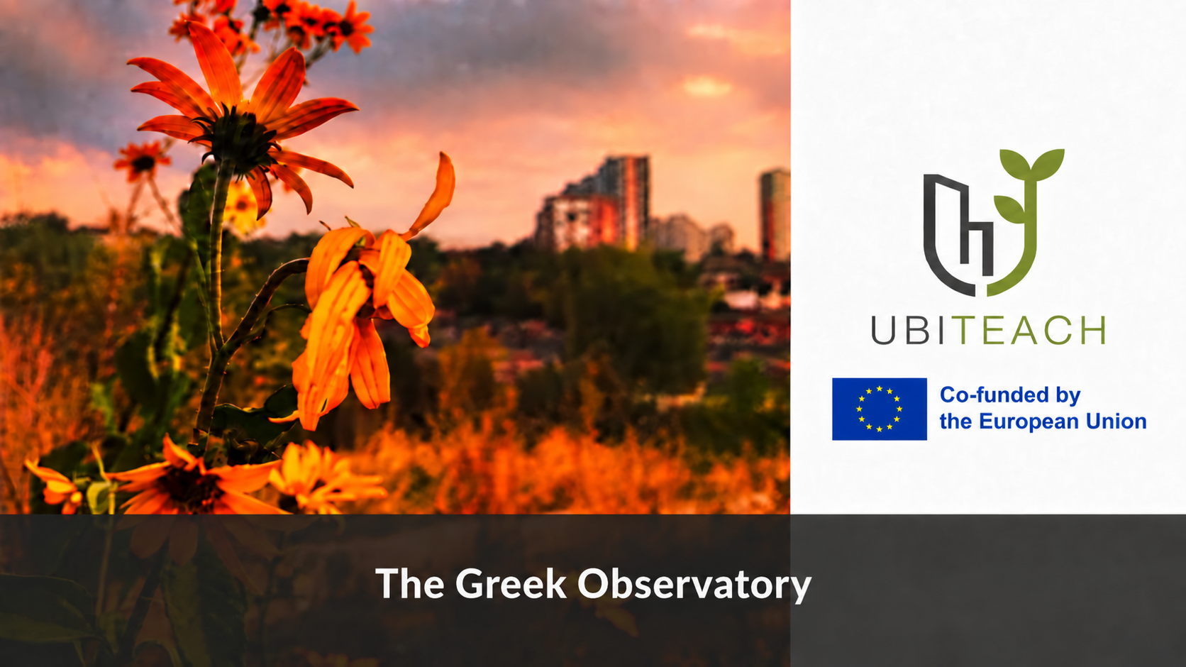 Το ελληνικό παρατηρητήριο